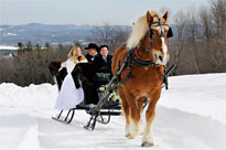 Celebrating a winter wedding with a horse drawn sleigh ride