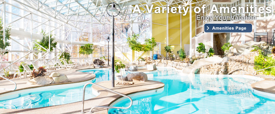 Steele Hill's 45,000 gallon indoor pool is one of many amenities on the property